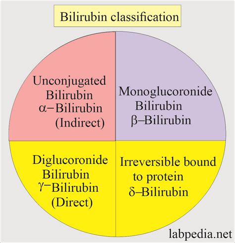 Bilirubin økte